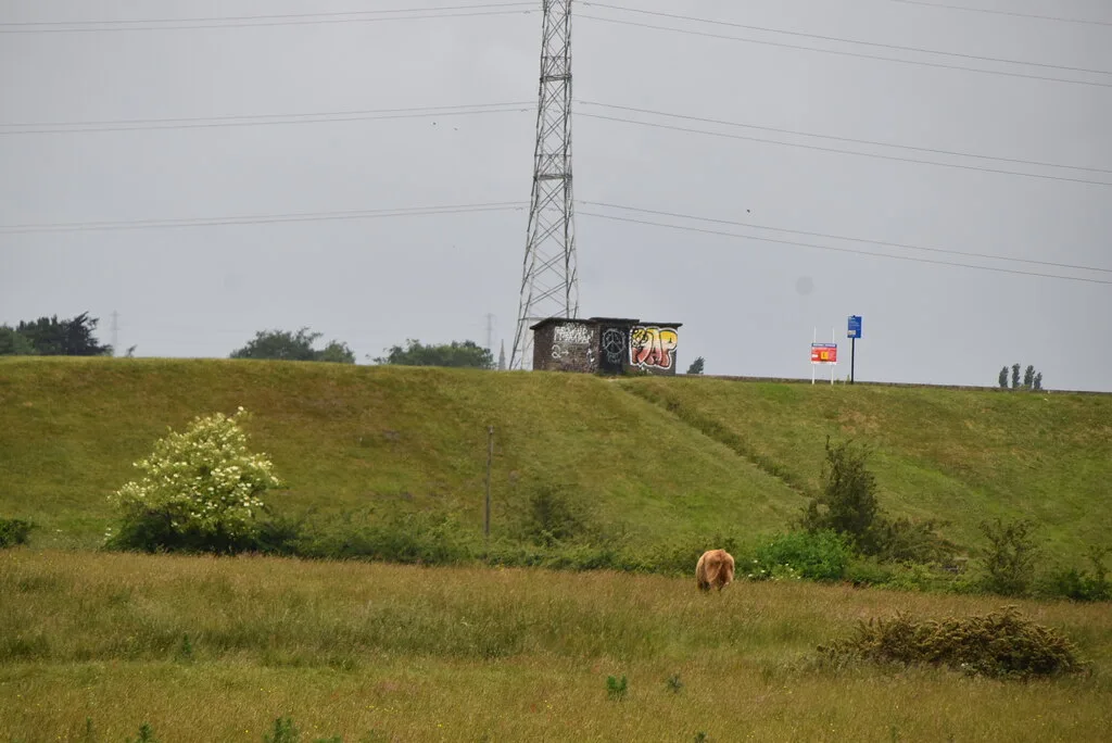 Elton Reservoir, the site allocated for 3,500 homes, a new primary school and a new Metrolink stop