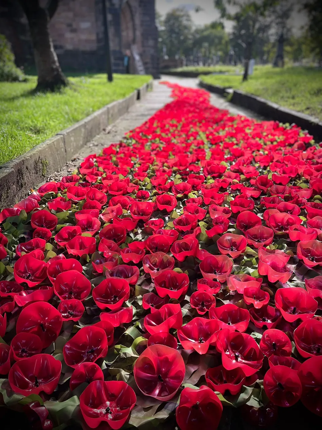 Hundreds of red poppies made from cut plastic bottle bottoms laid along the churchyard path at St Mary's, Radcliffe, between two strips of grass